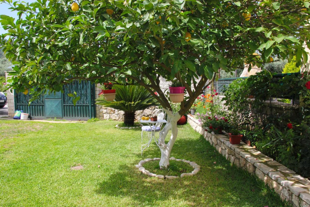 Villa Dimitra Nikiana Extérieur photo